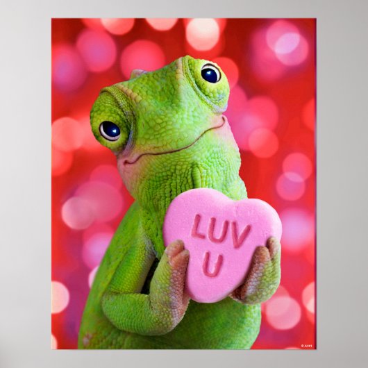 Chamäleon-Herz (Liebe dich) Poster (Vorne)