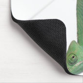 Chamäleon, Jungweide, Chamaeleo calyptratus Mousepad (Ecke)