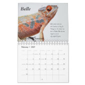 Chamäleon-Kalender Kalender (Feb 2027)