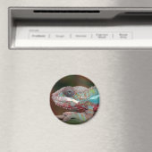 Chamäleon Magnet (In Situ (Geschirrspüler))