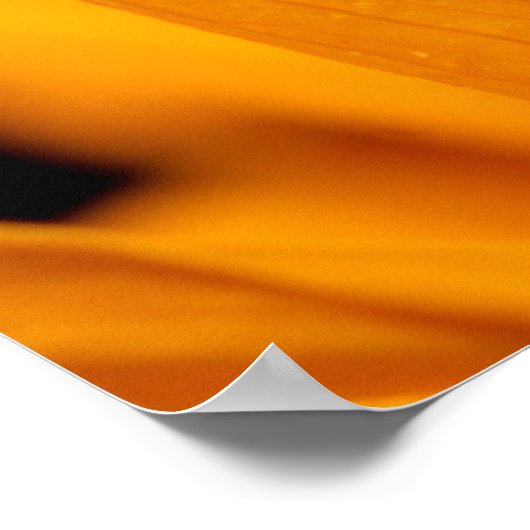 Chamäleon Poster (Ecke)