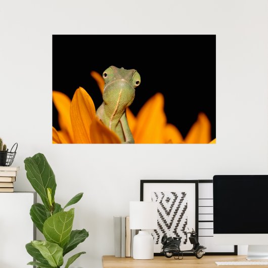 Chamäleon Poster (Heimbüro)