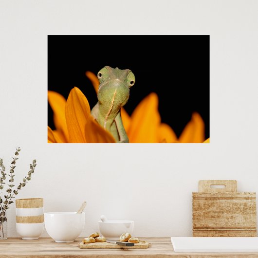Chamäleon Poster (Küche)