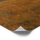 Chamäleon Poster (Ecke)