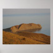 Chamäleon Poster (Vorne)