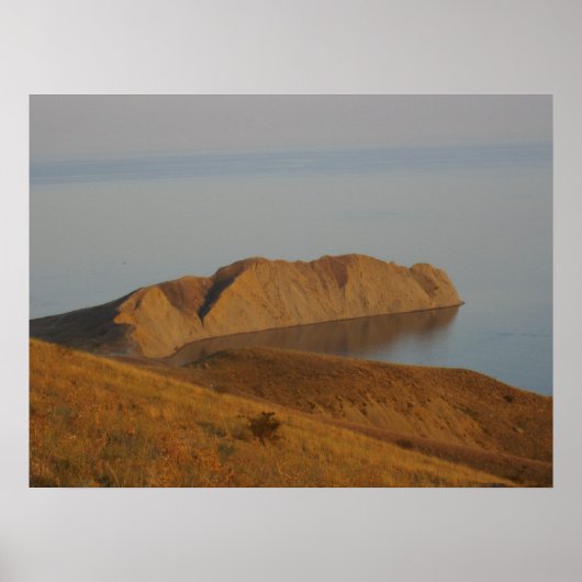 Chamäleon Poster (Vorne)