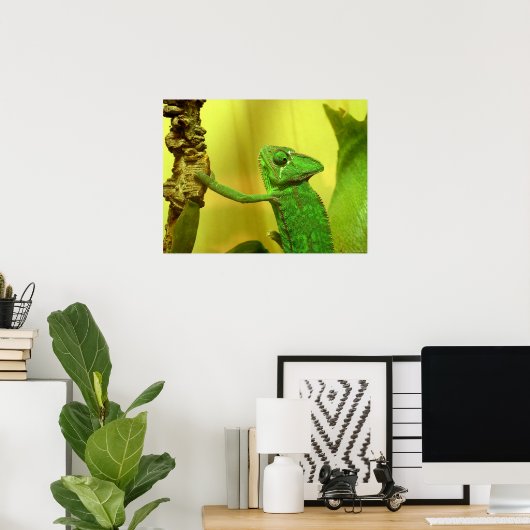 Chamäleon Poster (Heimbüro)