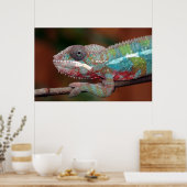 Chamäleon Poster (Küche)