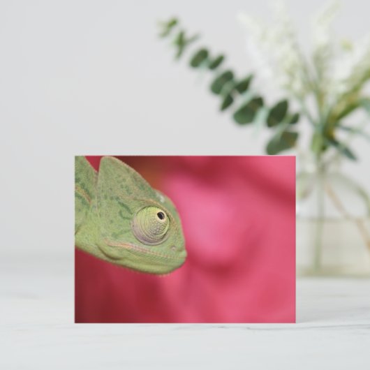 Chamäleon Postkarte (Stehend Vorderseite)