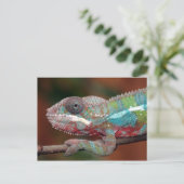 Chamäleon Postkarte (Stehend Vorderseite)