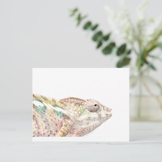 Chamäleon Postkarte (Stehend Vorderseite)