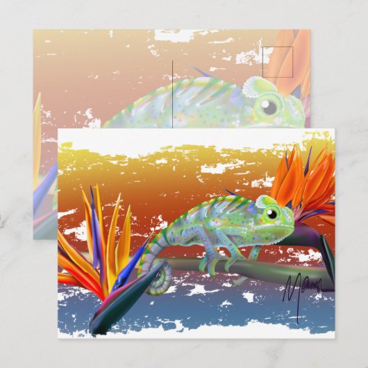 Chamäleon postkarte (Vorne/Hinten)