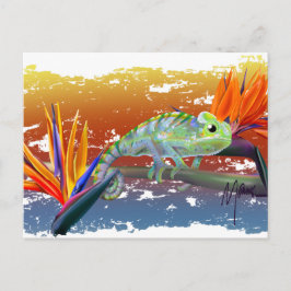 Chamäleon postkarte