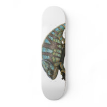 Chamäleon Skateboard