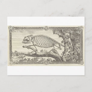 Chamäleon-Skelett-Illustration Postkarte