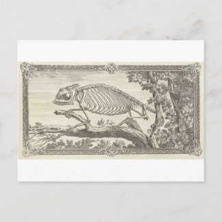 Chamäleon-Skelett-Illustration Postkarte