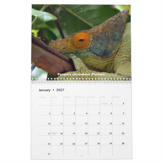 Chamäleone von Madagaskar-Kalender Kalender (Jan 2027)