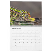 Chamäleone von Madagaskar-Kalender Kalender (Feb 2027)