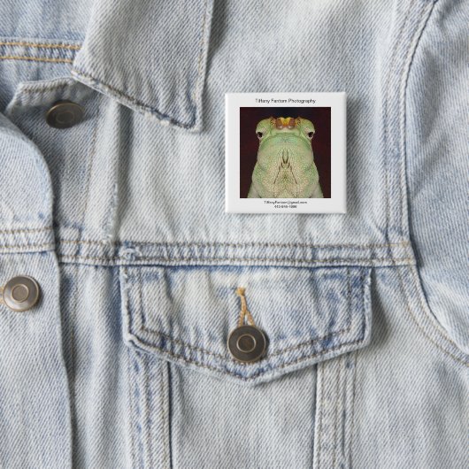 Chamäleonpromo-Stück Button (Beispiel)