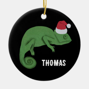 Chamäleons Farbige Reptilien Eidechsen Kinder Weih Keramik Ornament