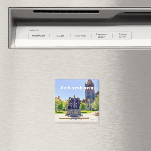 #Chambana Magnet (In Situ (Geschirrspüler))