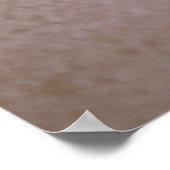 Chambered Nautilus Poster (Ecke)