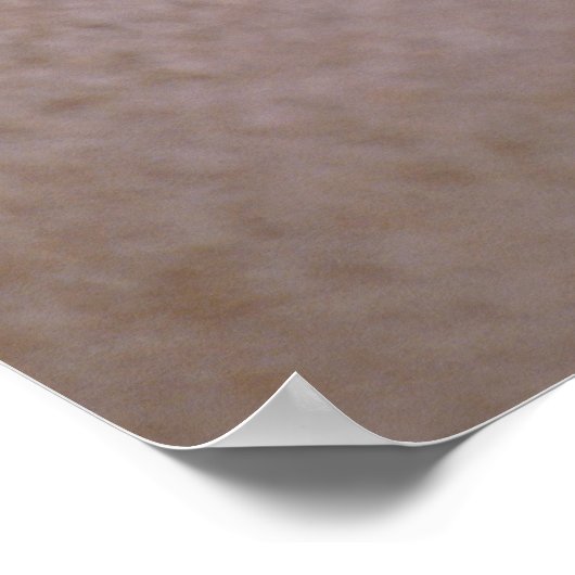 Chambered Nautilus Poster (Ecke)