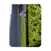 Chambertin Clos de Beze Grand Cru Weinberg Magnet (Vertikal)