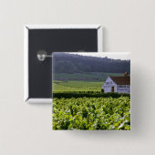 Chambertin Clos de Beze Grand Cru Weinberg mit Button (Vorne & Hinten)