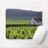 Chambertin Clos de Beze Grand Cru Weinberg mit Mousepad (Mit Mouse)