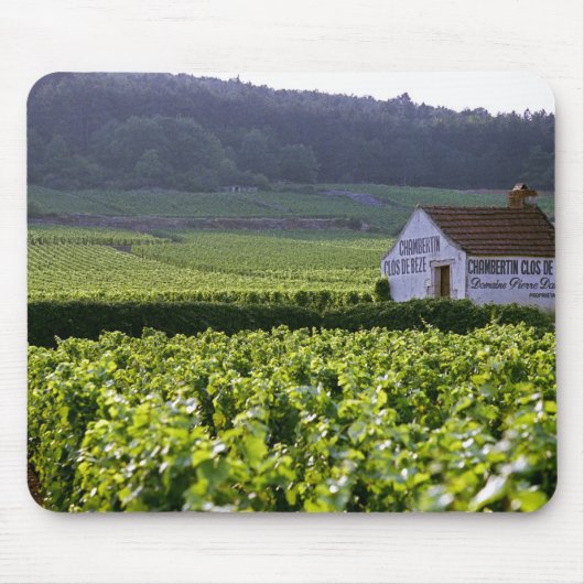 Chambertin Clos de Beze Grand Cru Weinberg mit Mousepad (Vorne)