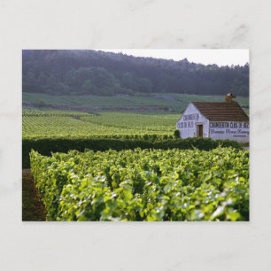 Chambertin Clos de Beze Grand Cru Weinberg mit Postkarte
