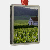 Chambertin Clos de Beze Grand Cru Weinberg mit Silbernes Ornament (Rechts)