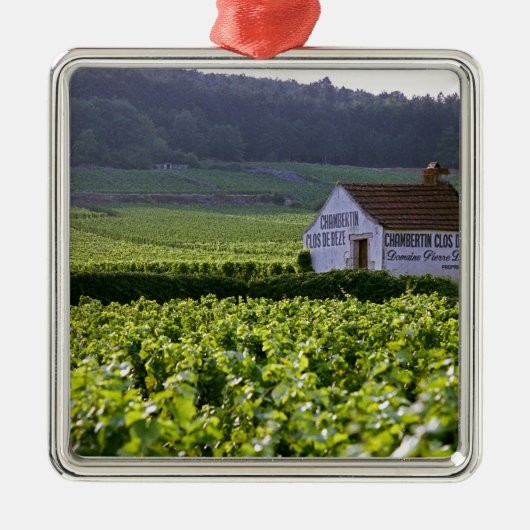 Chambertin Clos de Beze Grand Cru Weinberg mit Silbernes Ornament (Vorne)