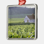 Chambertin Clos de Beze Grand Cru Weinberg mit Silbernes Ornament (Links)