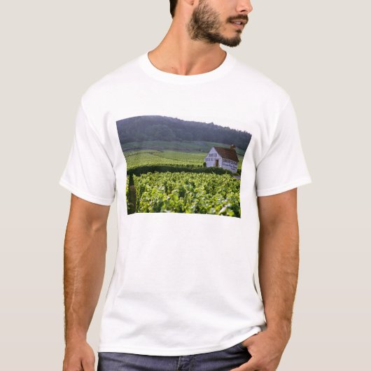 Chambertin Clos de Beze Grand Cru Weinberg mit T-Shirt (Vorderseite)