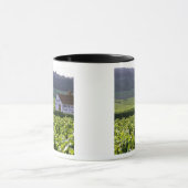 Chambertin Clos de Beze Grand Cru Weinberg mit Tasse (Zentrum)