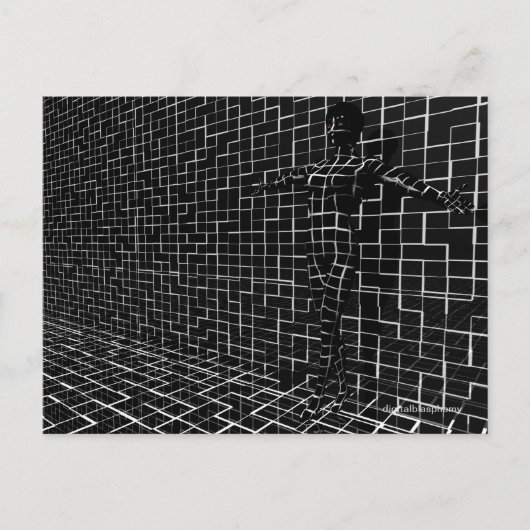 Chamelea Postcard Postkarte (Vorderseite)