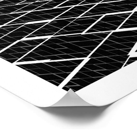 Chamelea Poster (Ecke)