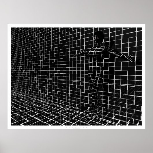 Chamelea Poster (Vorne)