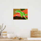 Chameleon 1 poster (Küche)