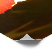 Chameleon 1 poster (Ecke)