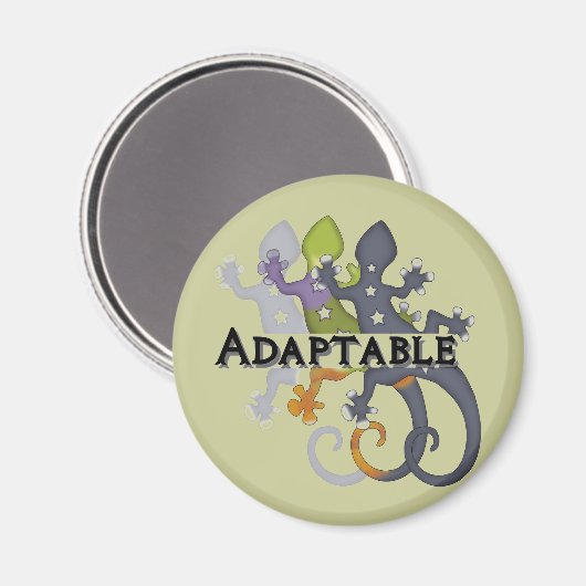 Chameleon Adaptable Magnet (Vorderseite/Rückseite)