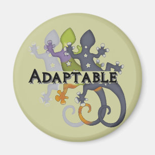 Chameleon Adaptable Magnet