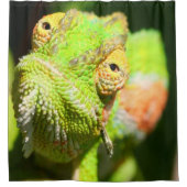 Chameleon Duschvorhang (Vorderseite)