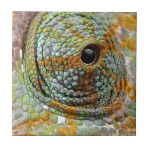 Chameleon Eye Mod Stylish Animal Fliese