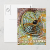 Chameleon Eye Mod Stylish Animal Postkarte (Vorne/Hinten)
