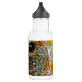 Chameleon Eye Mod Stylish Animal Trinkflasche (Rechts)