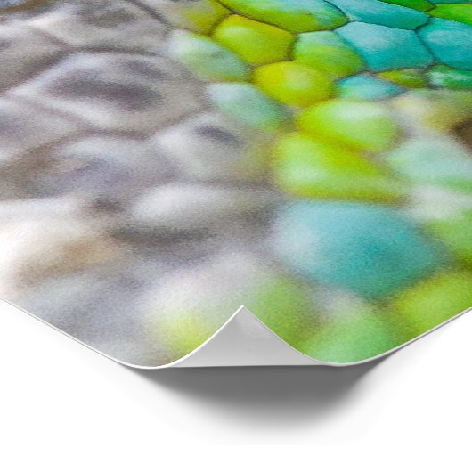 Chameleon eye poster (Ecke)