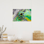 Chameleon eye poster (Küche)
